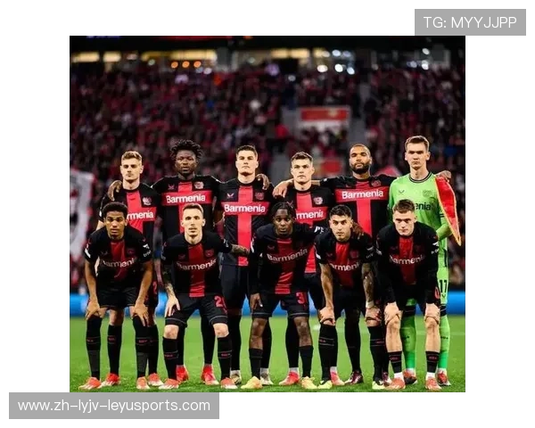 德甲各球队名称图片集，适合收藏与识别用途